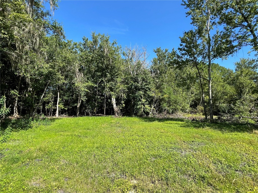 16415 Bearle Road Orlando FL 32828 O6041970 image7