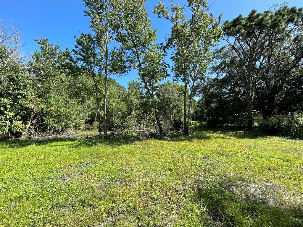 16415 Bearle Road Orlando FL 32828 O6041970 image8