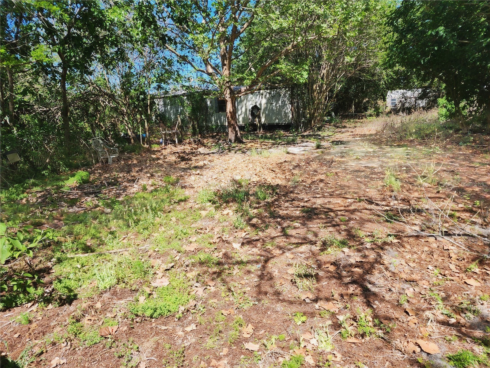 16415 SE 210th Terrace Hawthorne FL 32640 OM722419 image1
