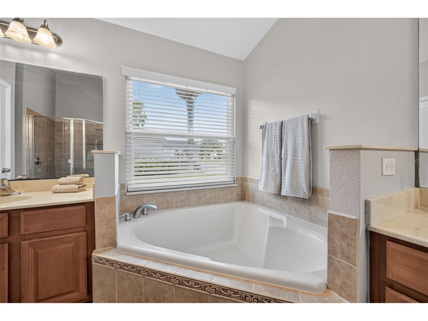 16416 Cedar Run Drive Orlando FL 32828 O6420601 image24