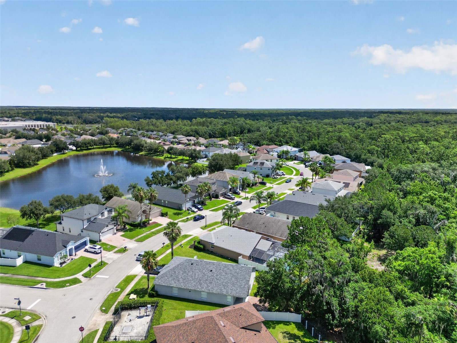 16416 Cedar Run Drive Orlando FL 32828 O6420601 image47