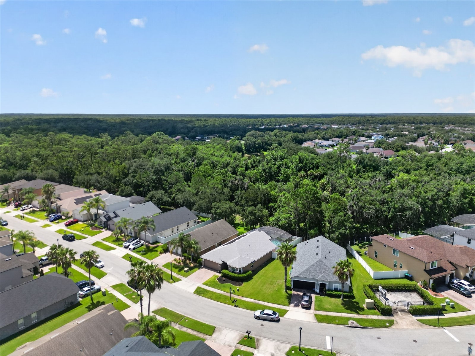 16416 Cedar Run Drive Orlando FL 32828 O6420601 image52