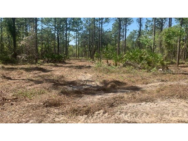 16417 Curlew Road Brooksville FL 34614 TB8322586 image1