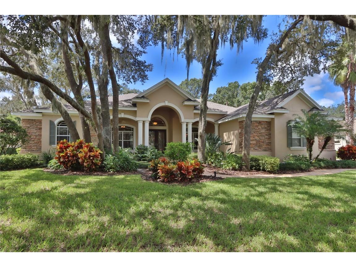 16418 Dunlindale Drive Lithia FL 33547 T3425755 image1