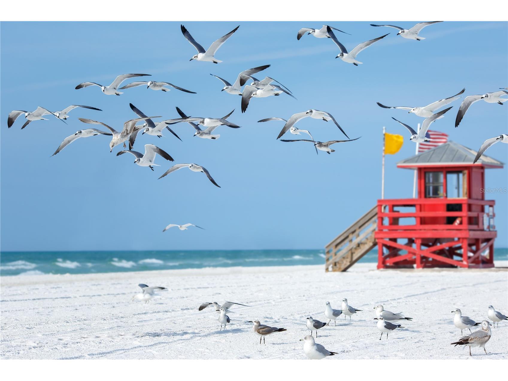16418 Winburn Drive Sarasota FL 34240 A4679086 image36