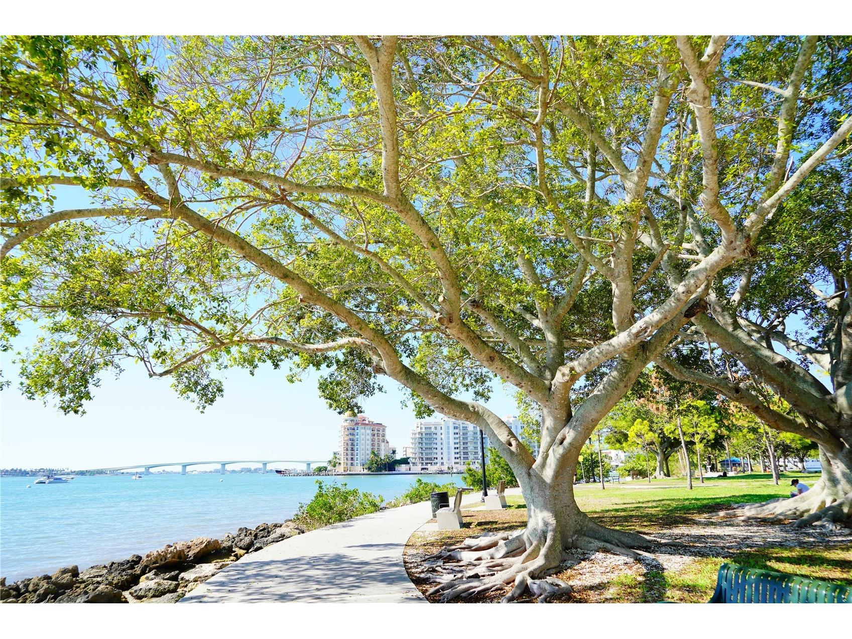 16418 Winburn Drive Sarasota FL 34240 A4679086 image40