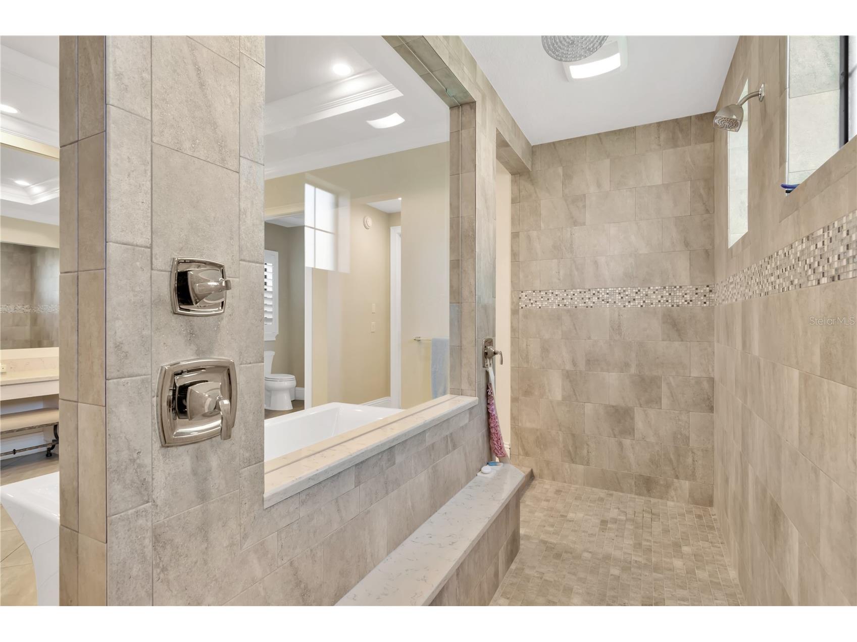 16419 Chapman Crossing Drive Lithia FL 33547 TB8495152 image15