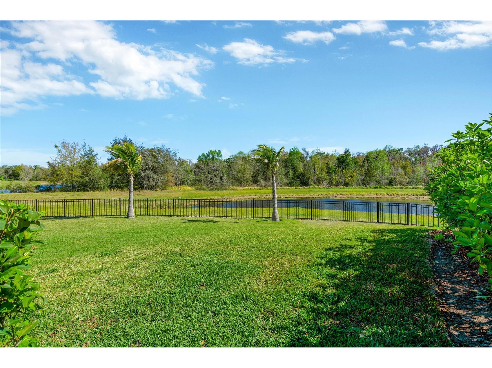 16419 Chapman Crossing Drive Lithia FL 33547 TB8495152 image25