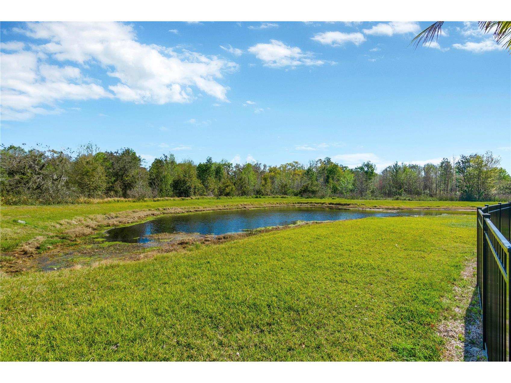 16419 Chapman Crossing Drive Lithia FL 33547 TB8495152 image27