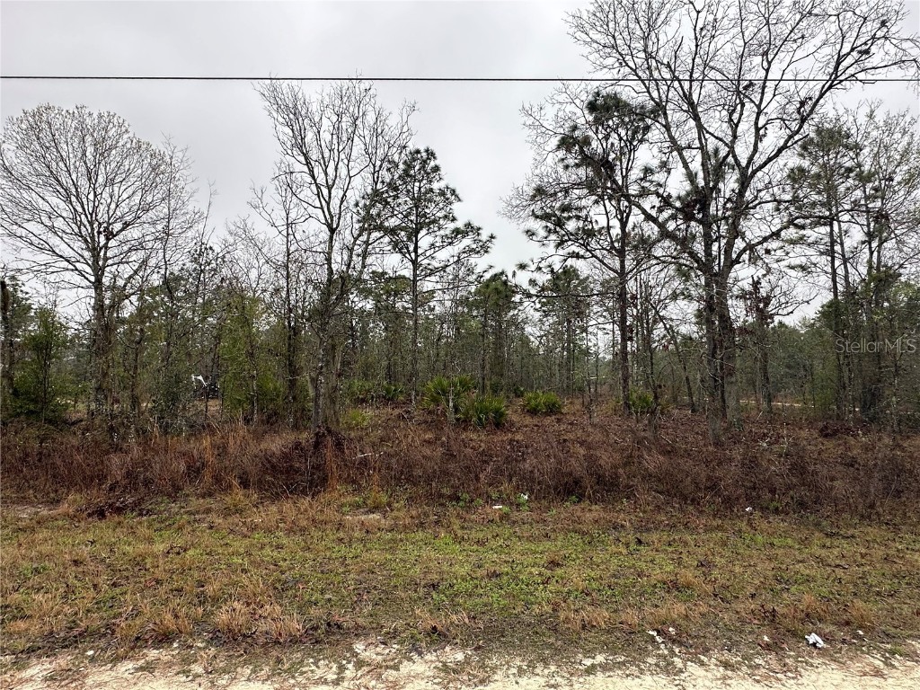 16419 Crane Road Weeki Wachee FL 34614 TB8356581 image1