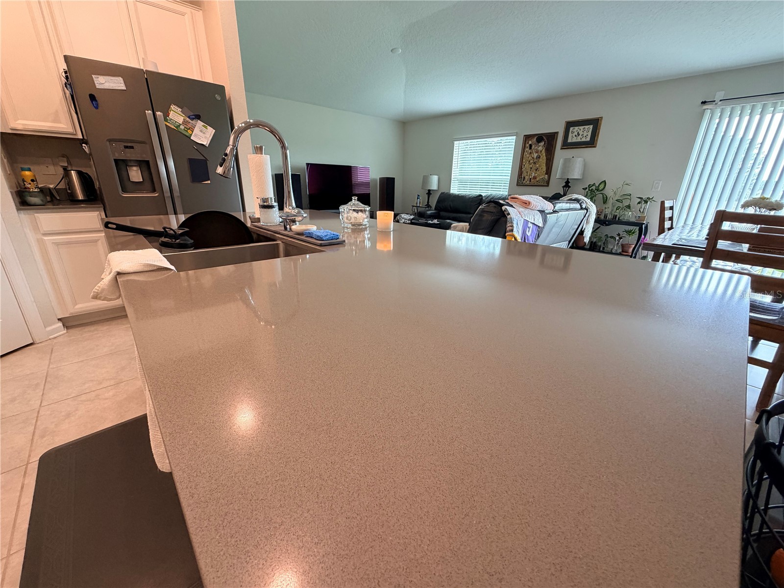16419 Glassy Loch Loop Clermont FL 34714 TB8506992 image3