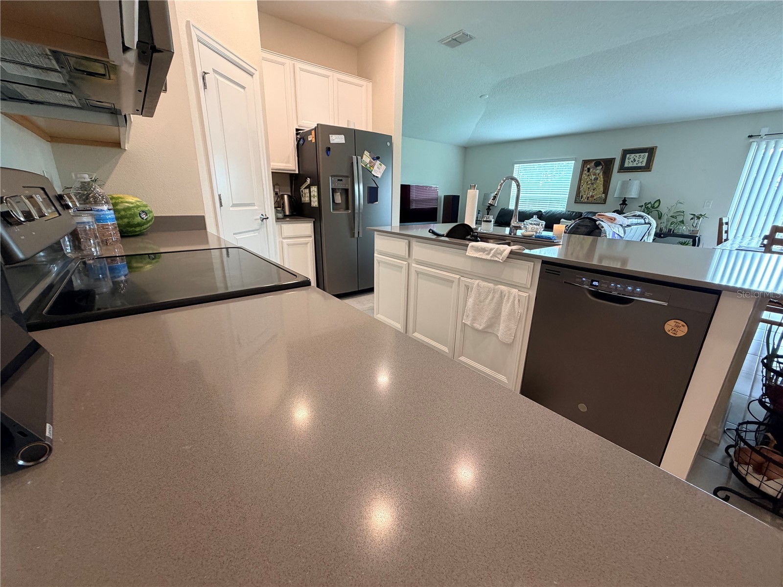 16419 Glassy Loch Loop Clermont FL 34714 TB8506992 image4