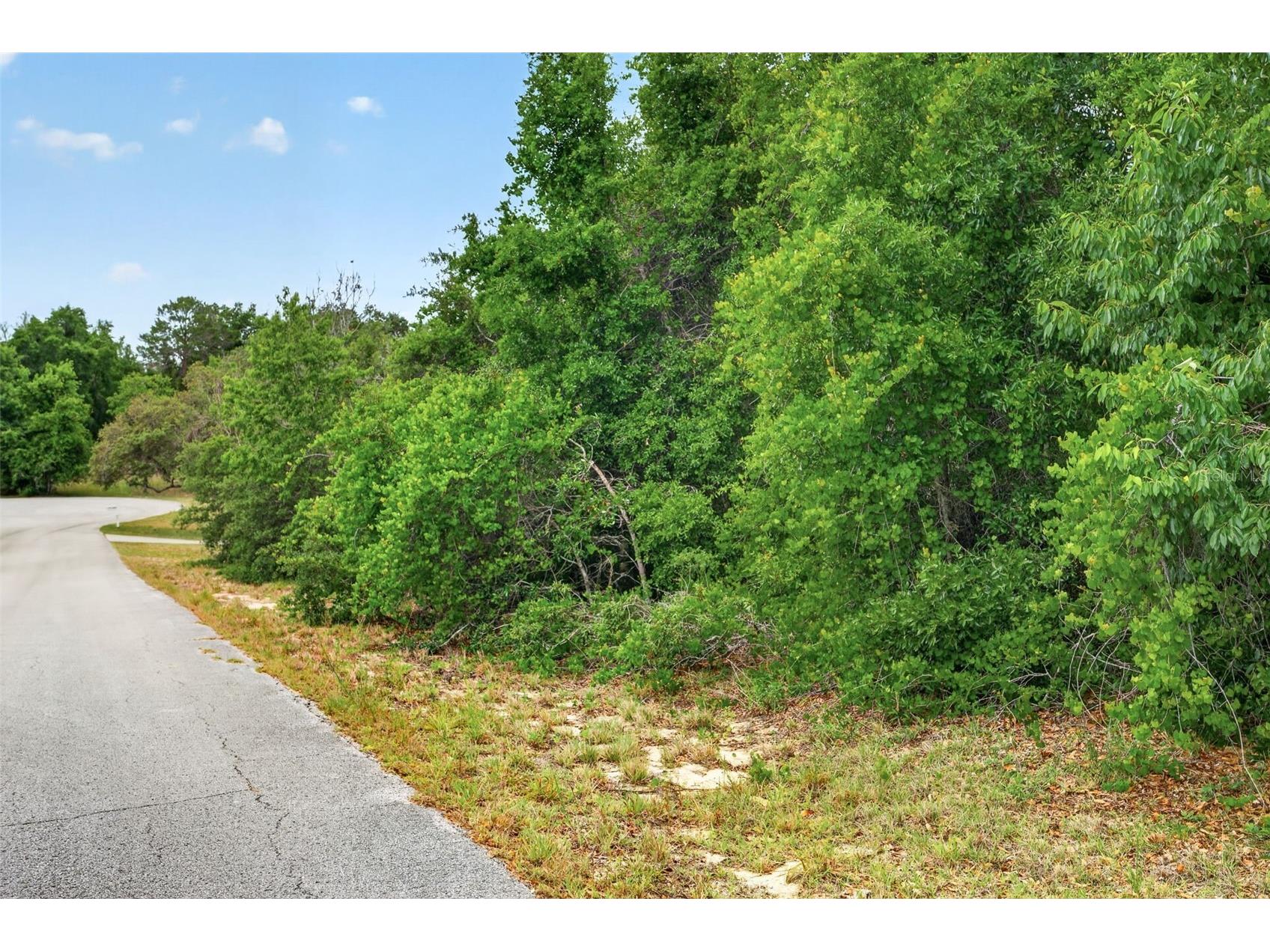 1642 S Valerie Point Inverness FL 34452 OM723333 image2