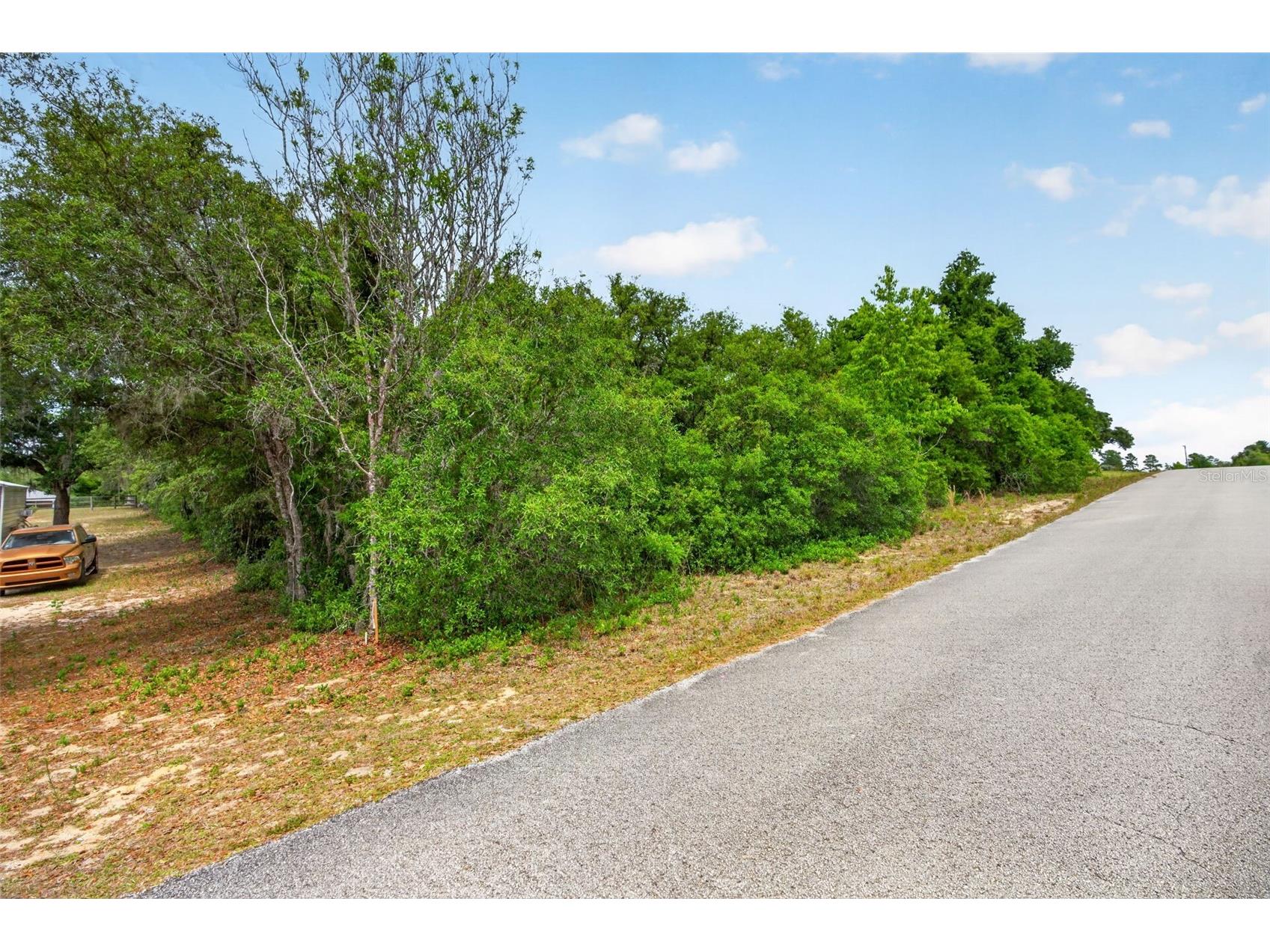 1642 S Valerie Point Inverness FL 34452 OM723333 image3