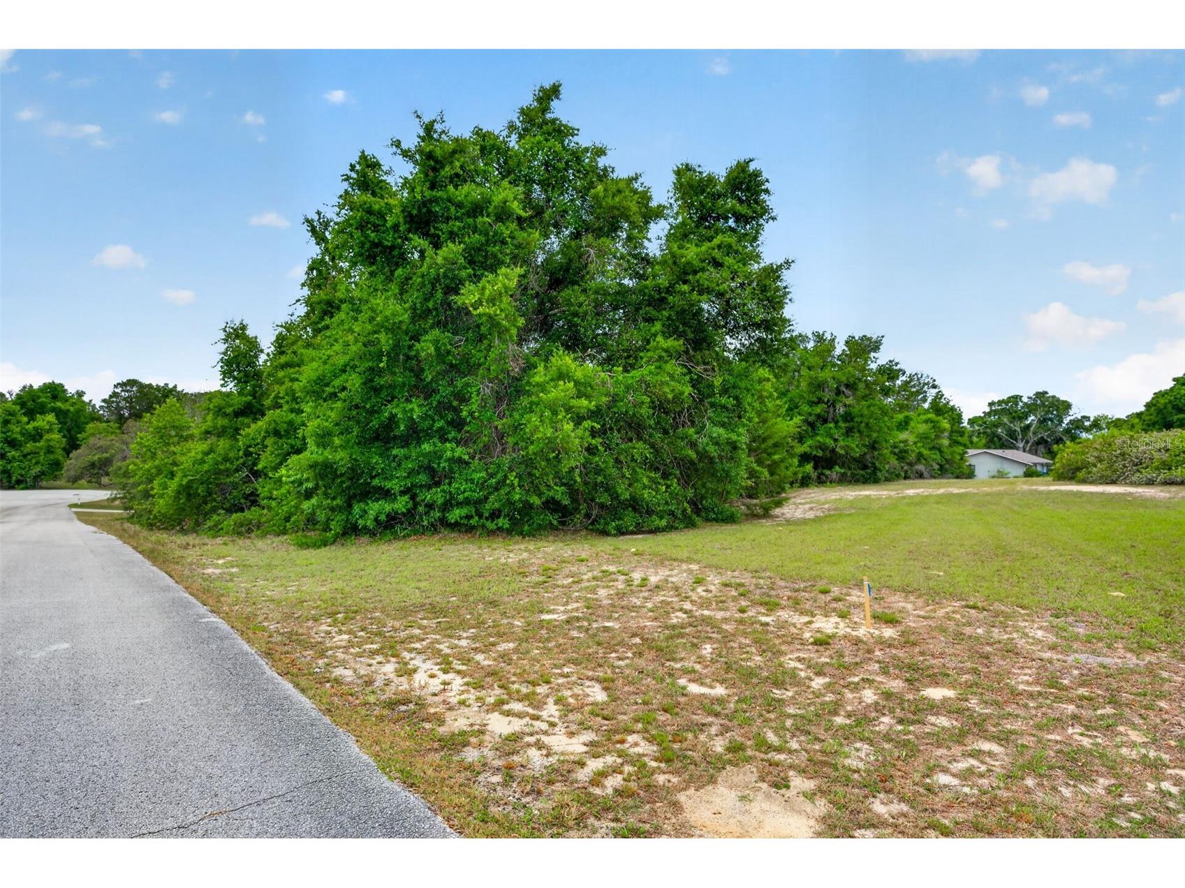 1642 S Valerie Point Inverness FL 34452 OM723333 image4
