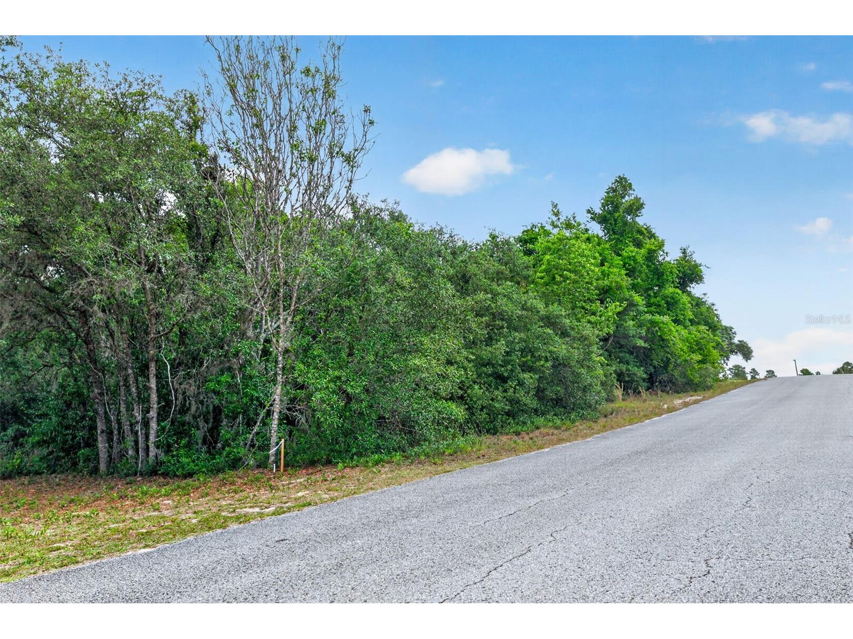 1642 S Valerie Point Inverness FL 34452 OM723333 image5