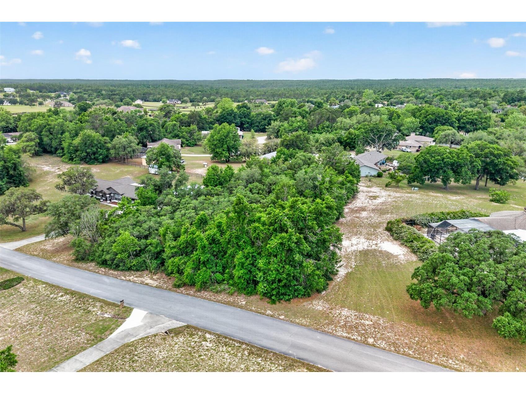 1642 S Valerie Point Inverness FL 34452 OM723333 image6