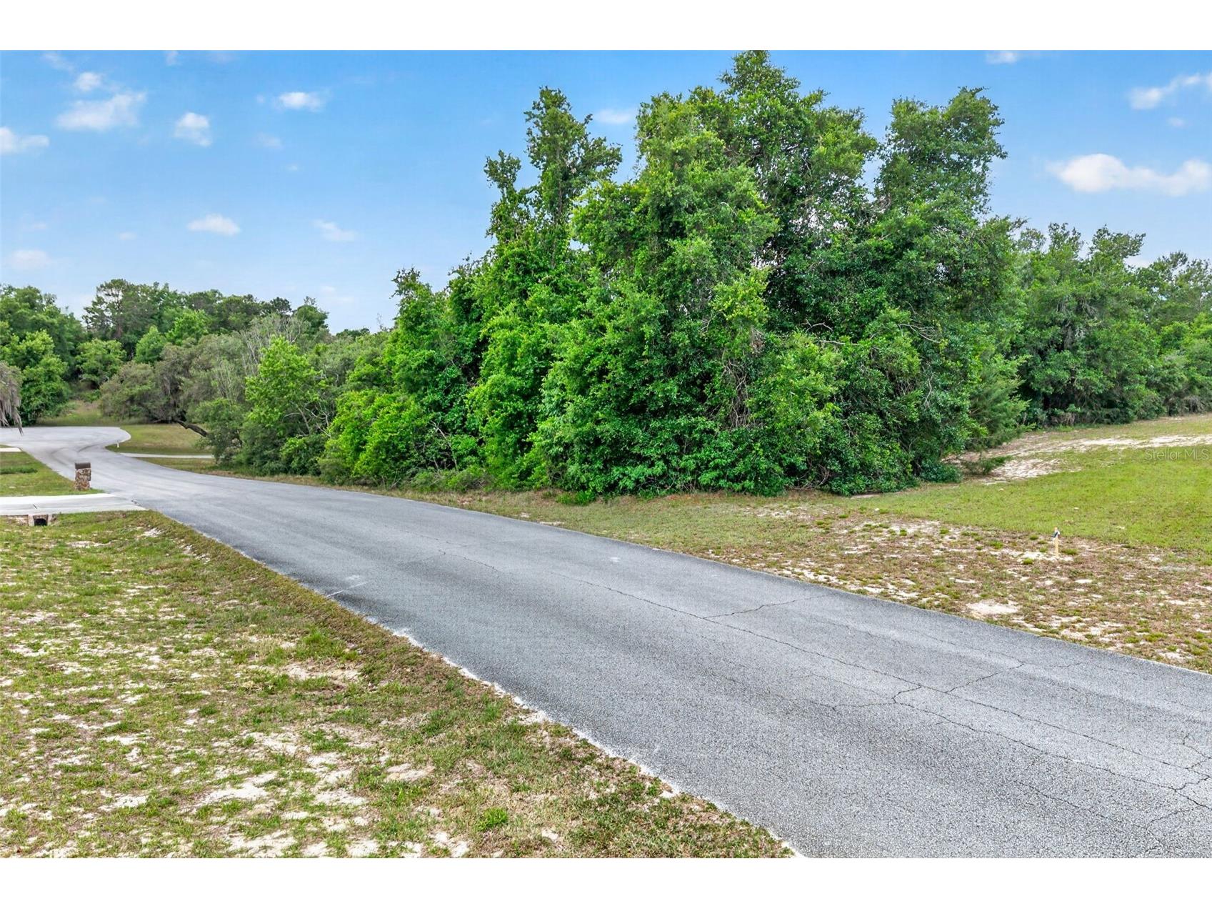 1642 S Valerie Point Inverness FL 34452 OM723333 image9