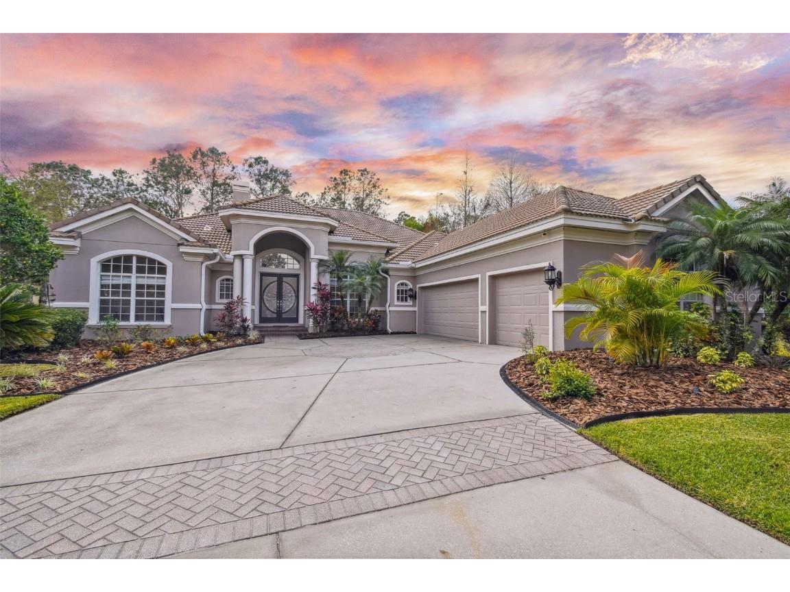 16420 Burniston Drive Tampa FL 33647 T3421104 image1