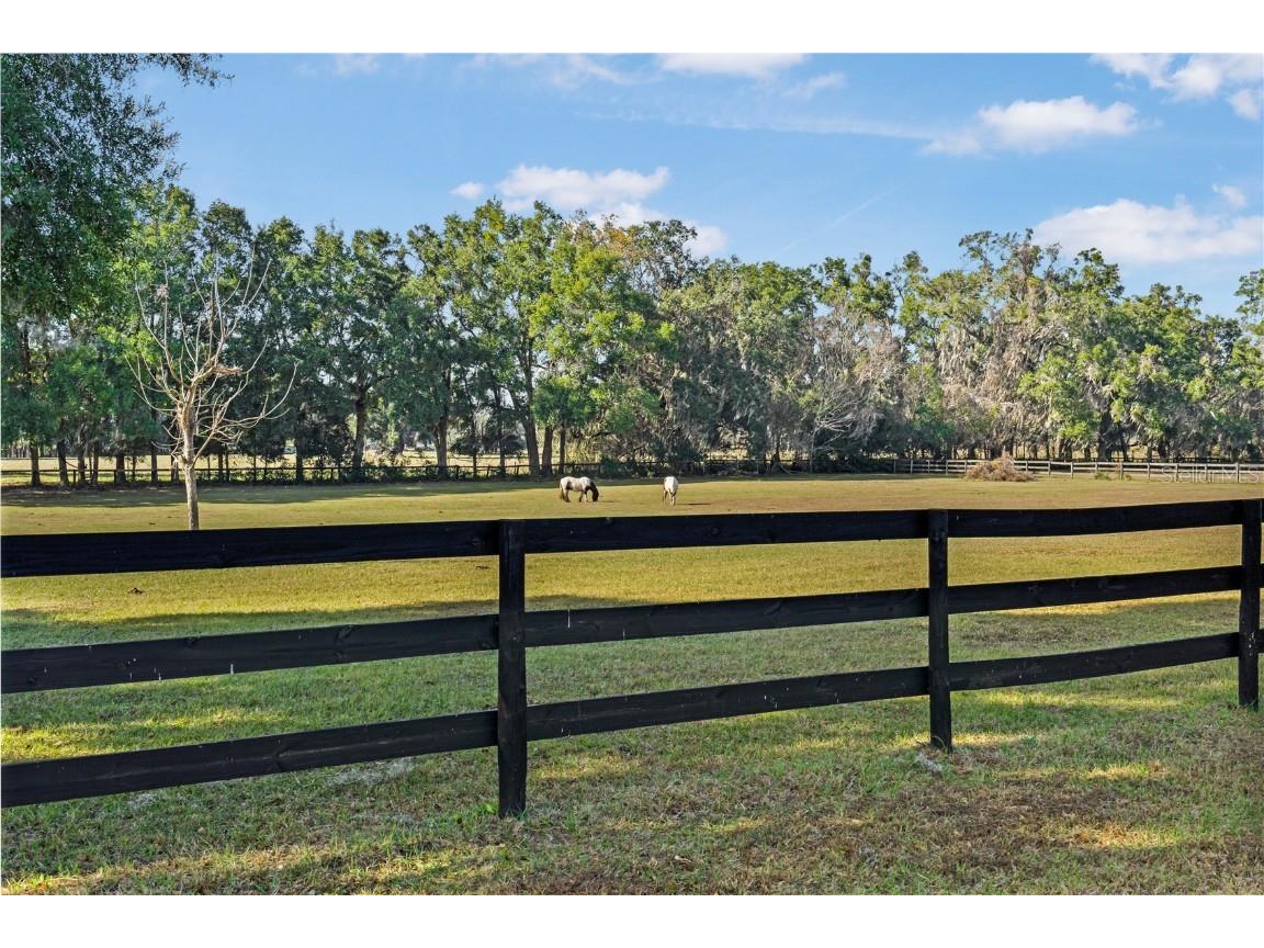 16421 W Highway 326 Morriston FL 32668 OM715266 image47