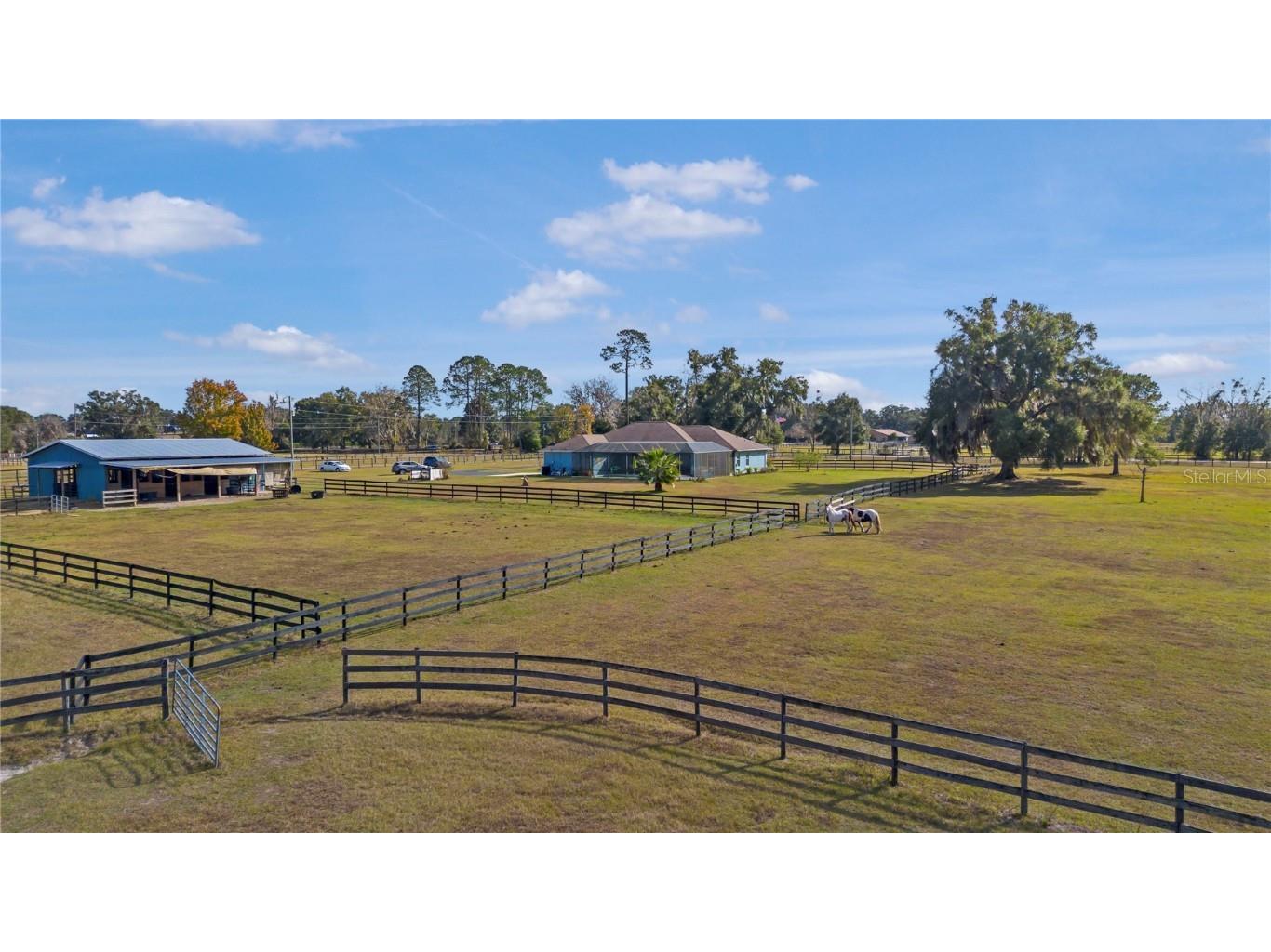 16421 W Highway 326 Morriston FL 32668 OM715266 image48