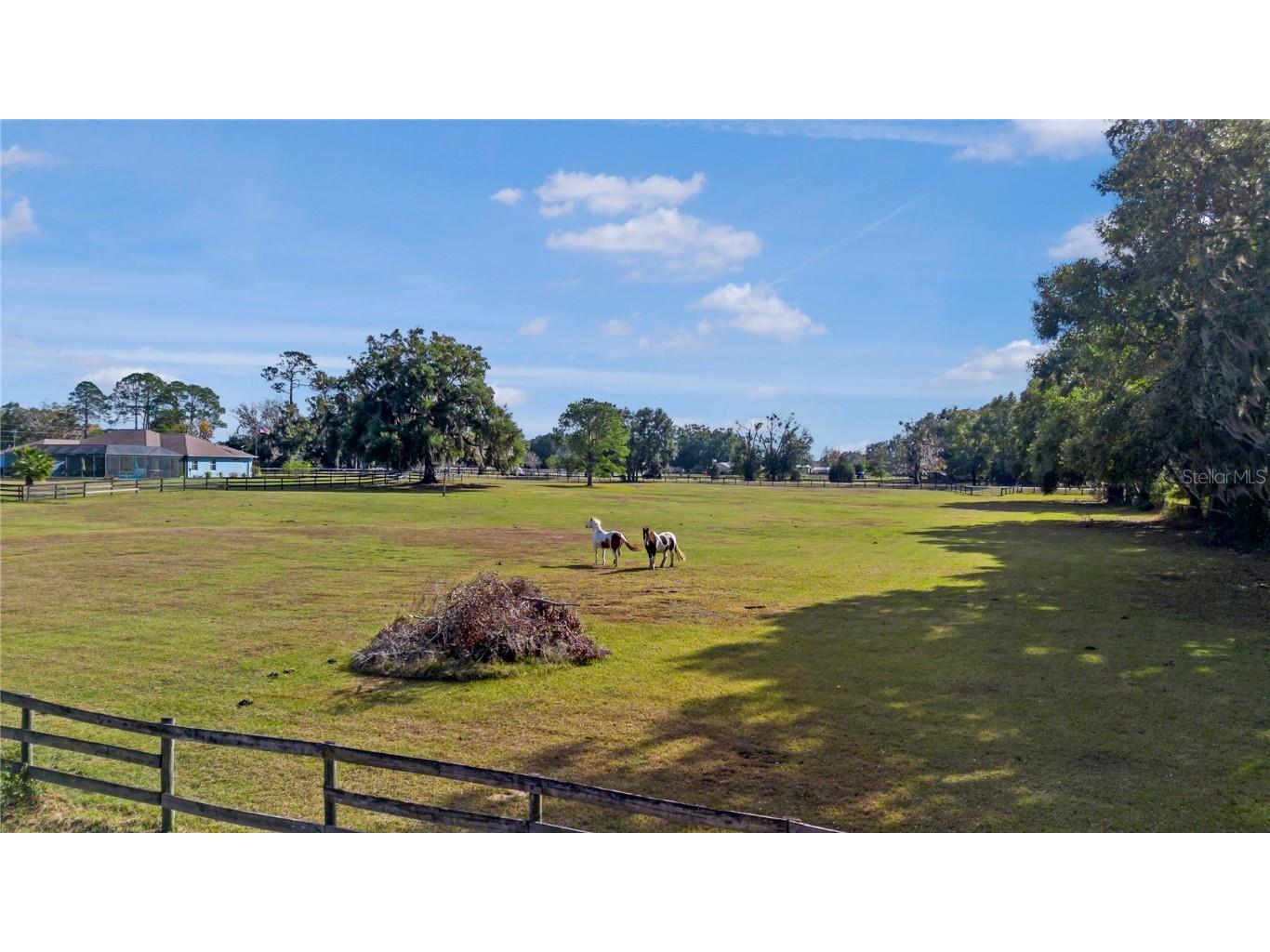 16421 W Highway 326 Morriston FL 32668 OM715266 image5