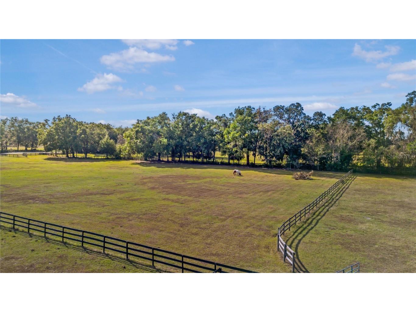 16421 W Highway 326 Morriston FL 32668 OM715266 image50