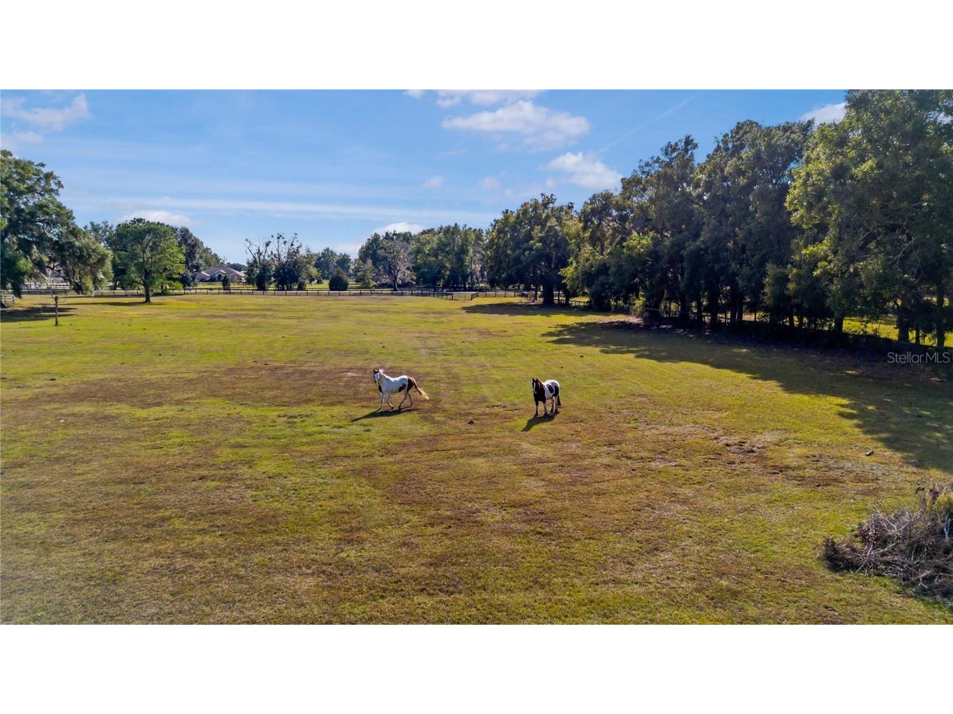 16421 W Highway 326 Morriston FL 32668 OM715266 image52