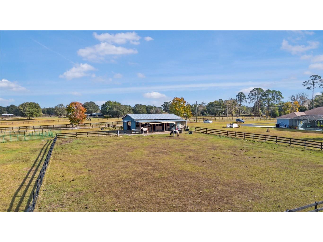 16421 W Highway 326 Morriston FL 32668 OM715266 image54