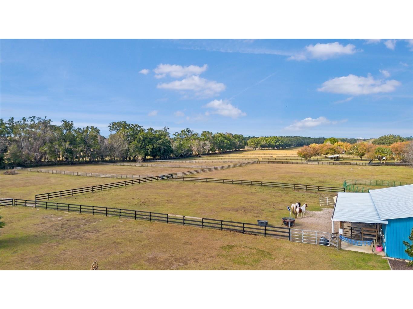 16421 W Highway 326 Morriston FL 32668 OM715266 image66