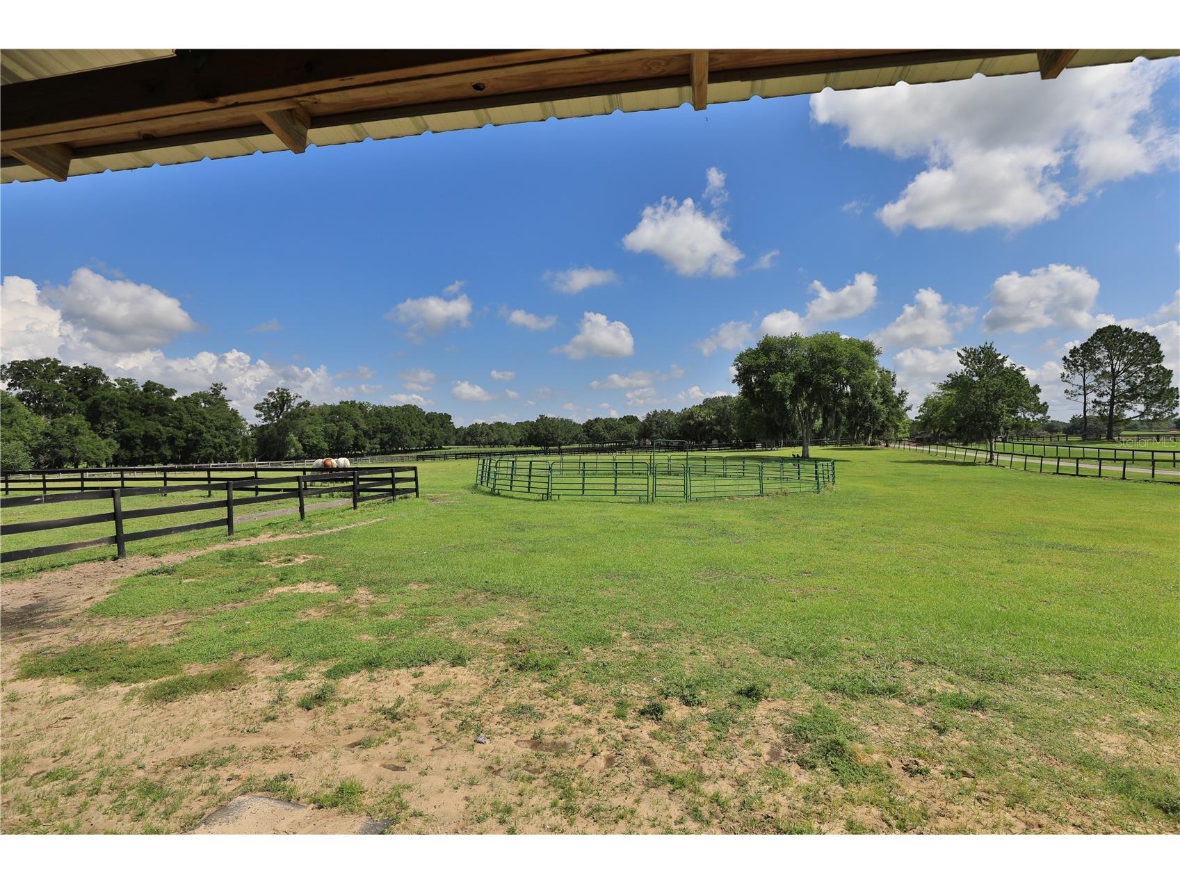 16421 W Highway 326 Morriston FL 32668 OM726784 image31