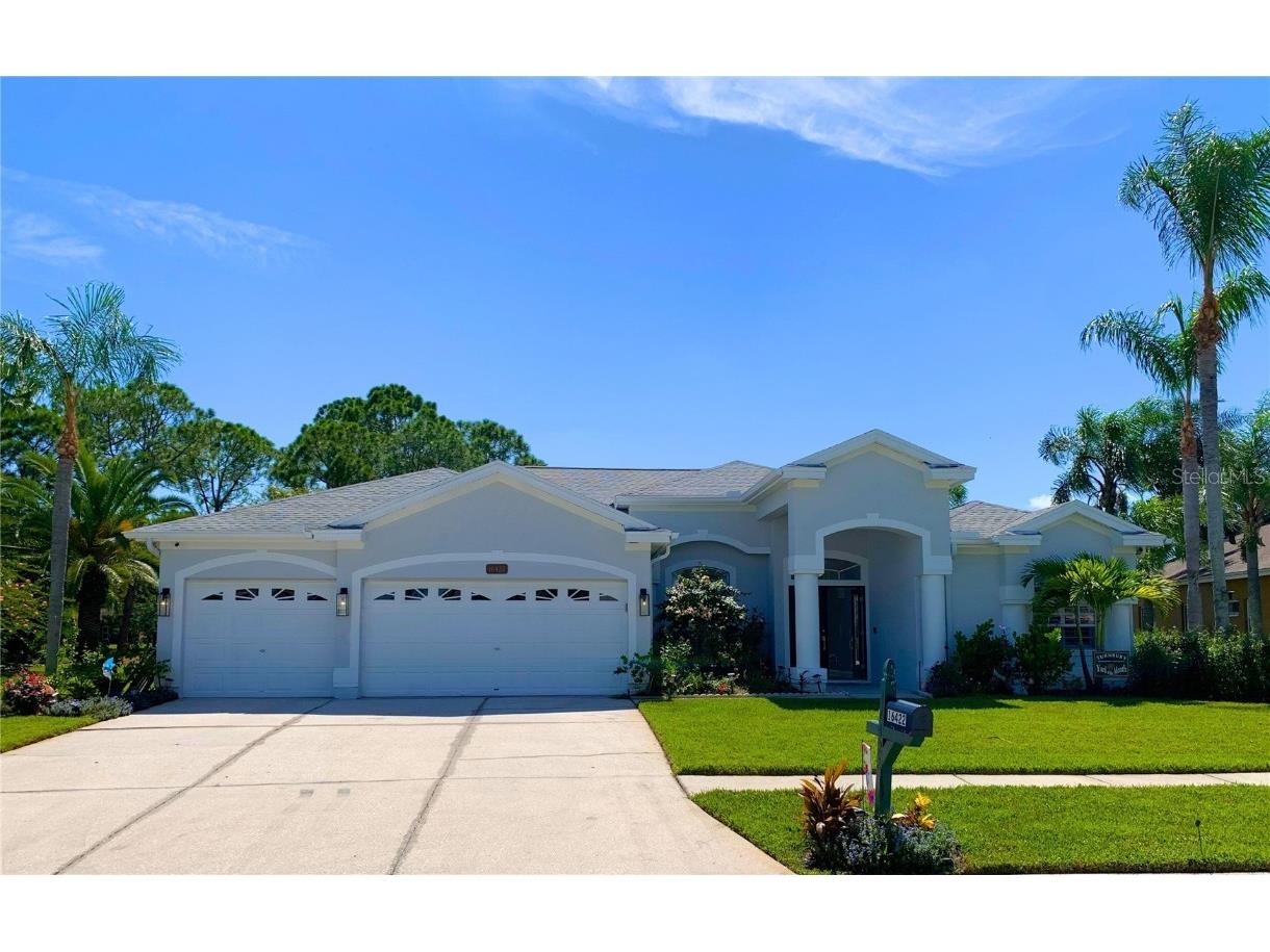 16422 Turnbury Oak Drive Odessa FL 33556 T3488514 image1