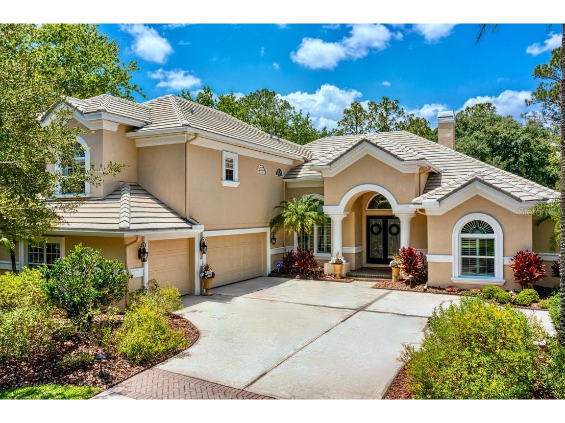 16423 Burniston Drive Tampa FL 33647 T3449141 image1