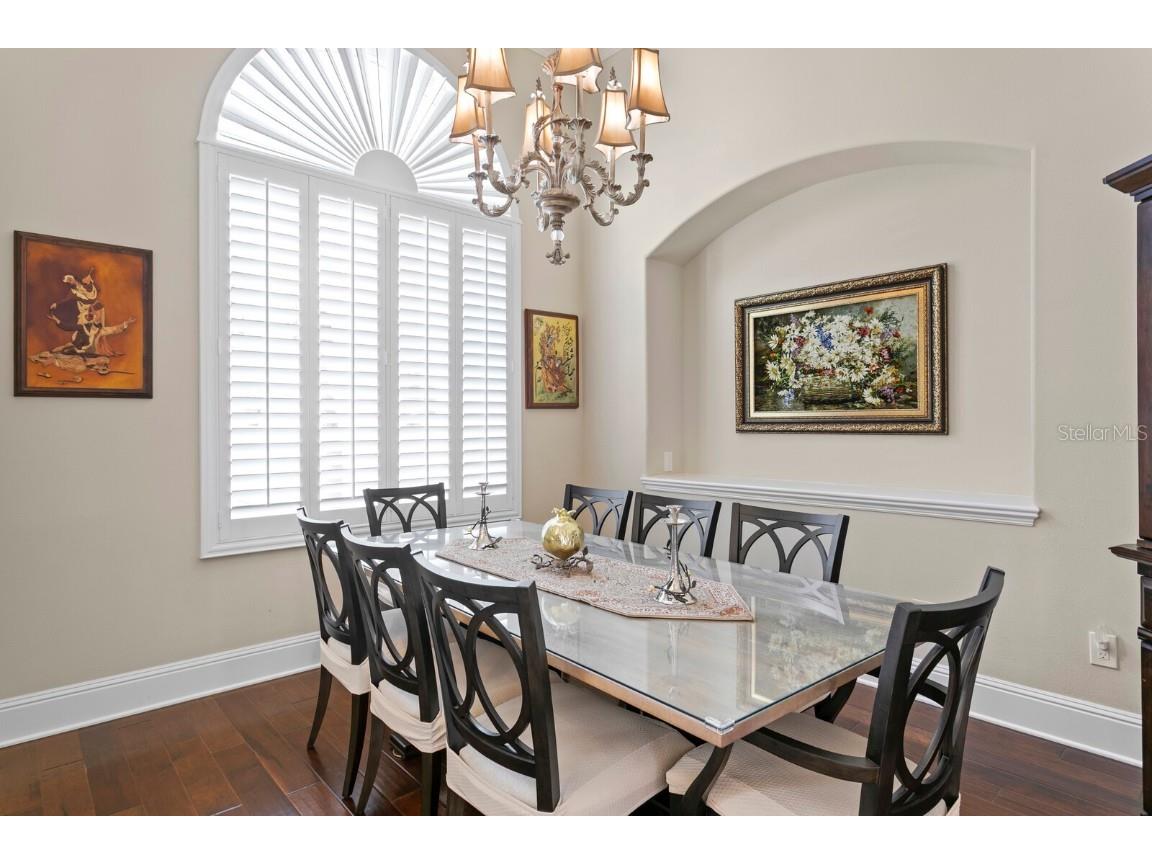 16423 Burniston Drive Tampa FL 33647 TB8437329 image10