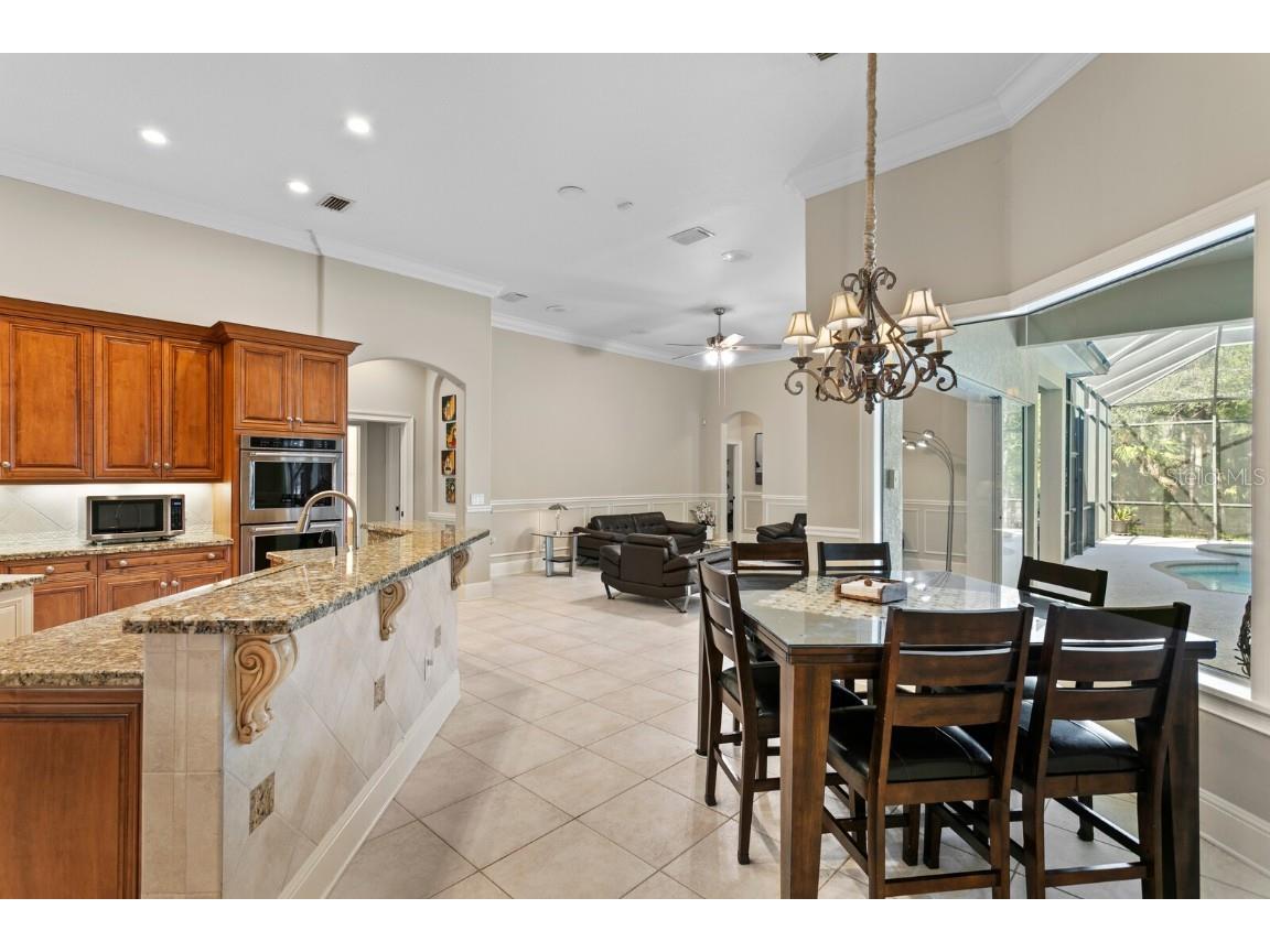 16423 Burniston Drive Tampa FL 33647 TB8437329 image19