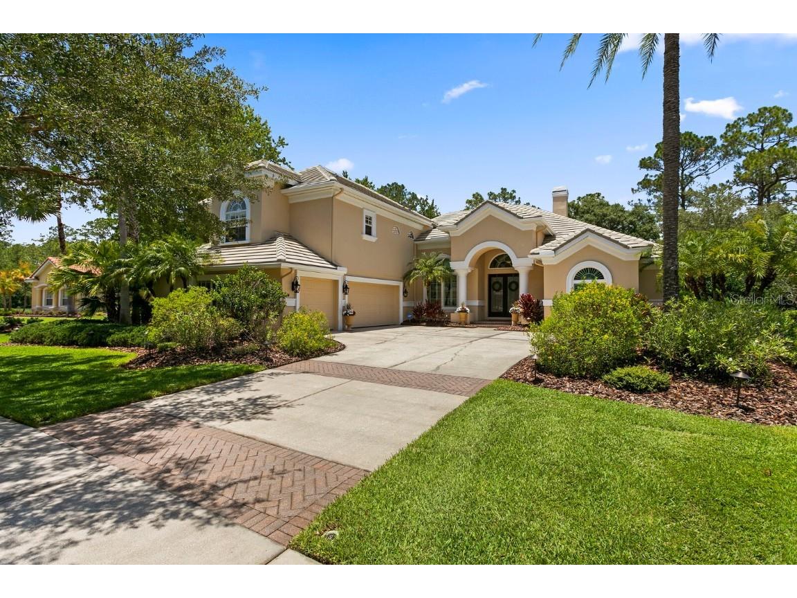 16423 Burniston Drive Tampa FL 33647 TB8437329 image2