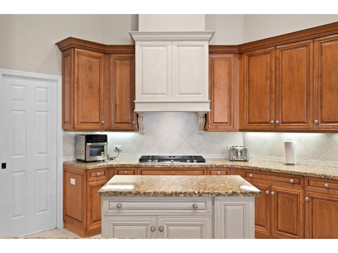 16423 Burniston Drive Tampa FL 33647 TB8437329 image25