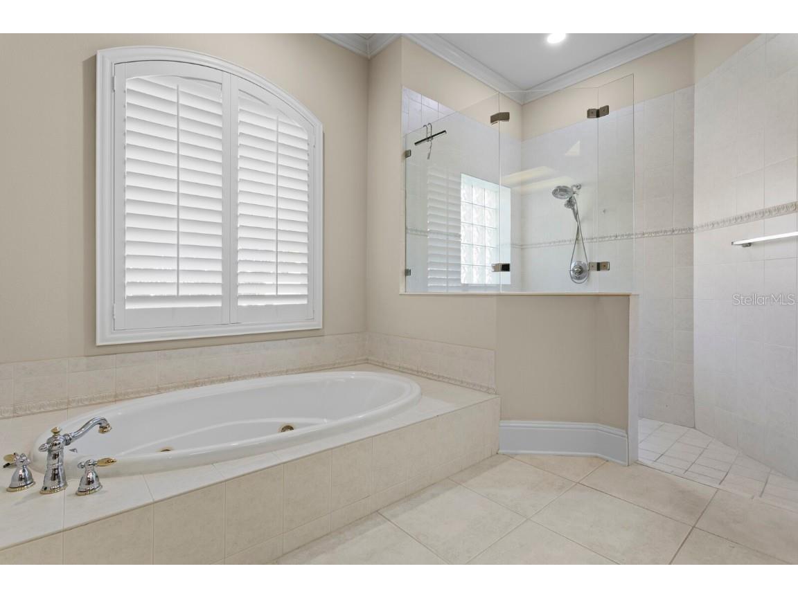 16423 Burniston Drive Tampa FL 33647 TB8437329 image32