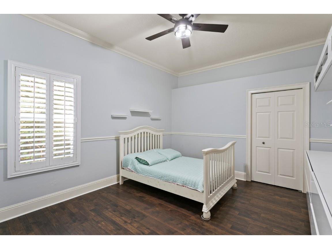 16423 Burniston Drive Tampa FL 33647 TB8437329 image35