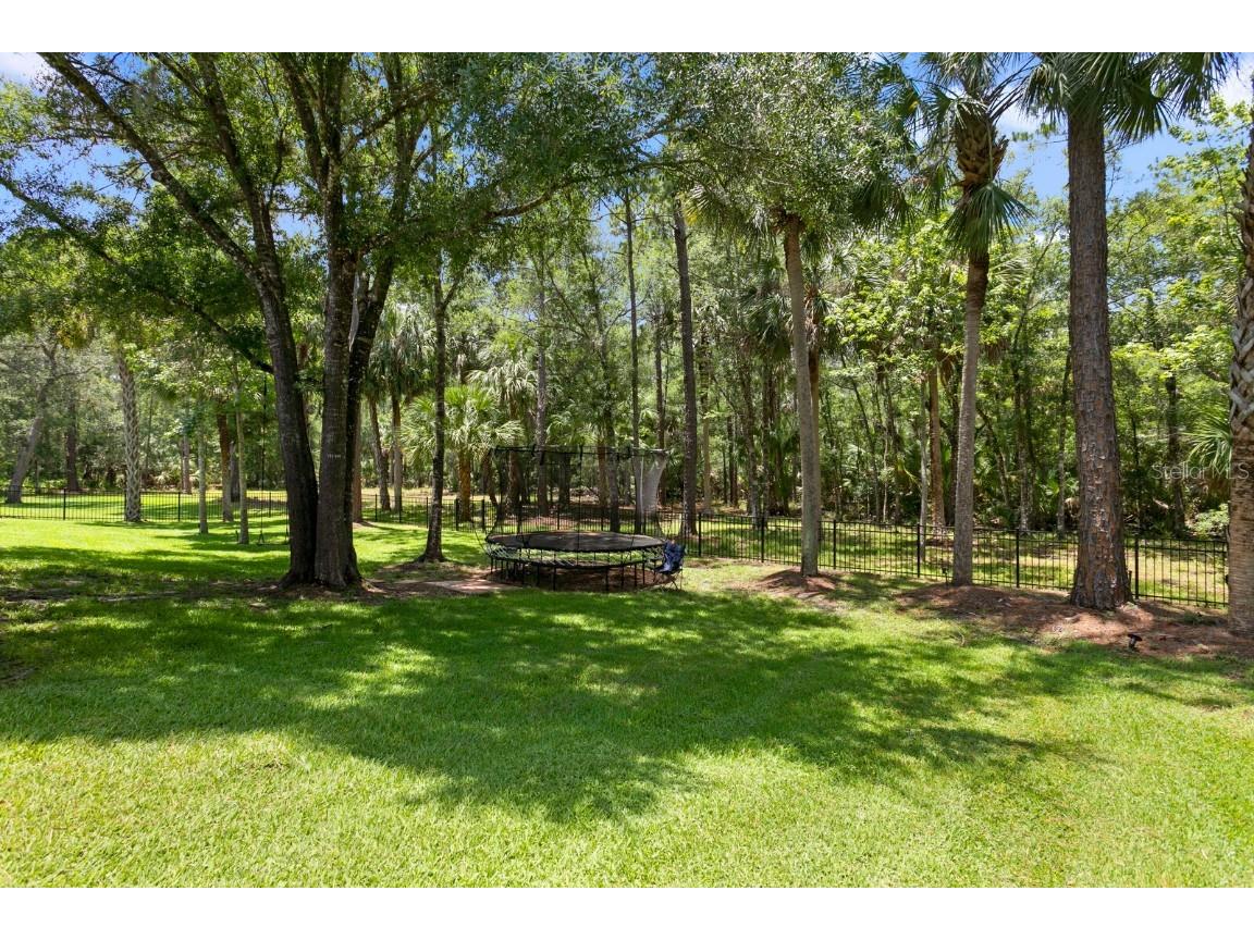 16423 Burniston Drive Tampa FL 33647 TB8437329 image4