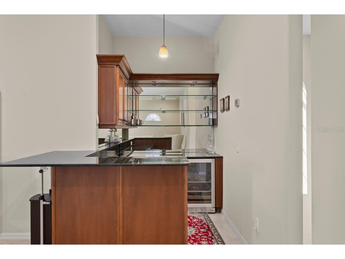 16423 Burniston Drive Tampa FL 33647 TB8437329 image48