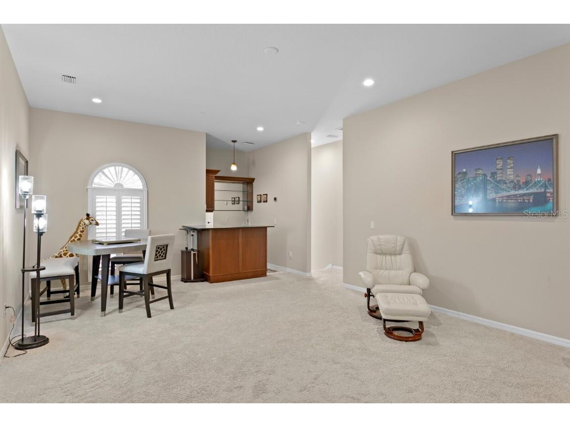 16423 Burniston Drive Tampa FL 33647 TB8437329 image49