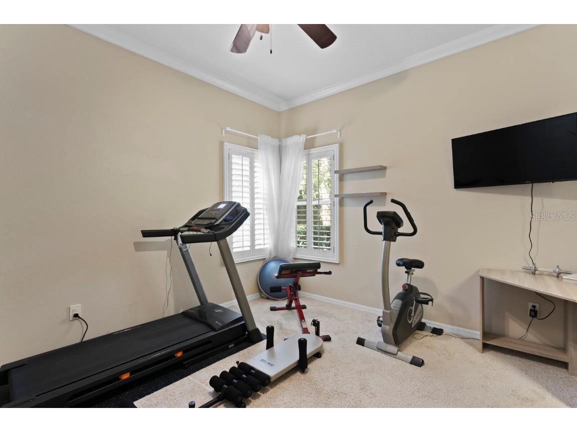 16423 Burniston Drive Tampa FL 33647 TB8437329 image51