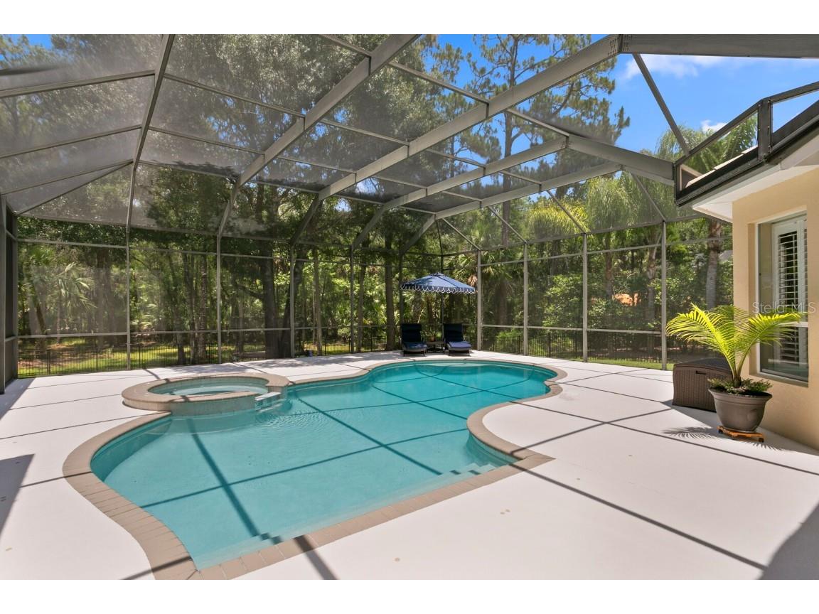 16423 Burniston Drive Tampa FL 33647 TB8437329 image57