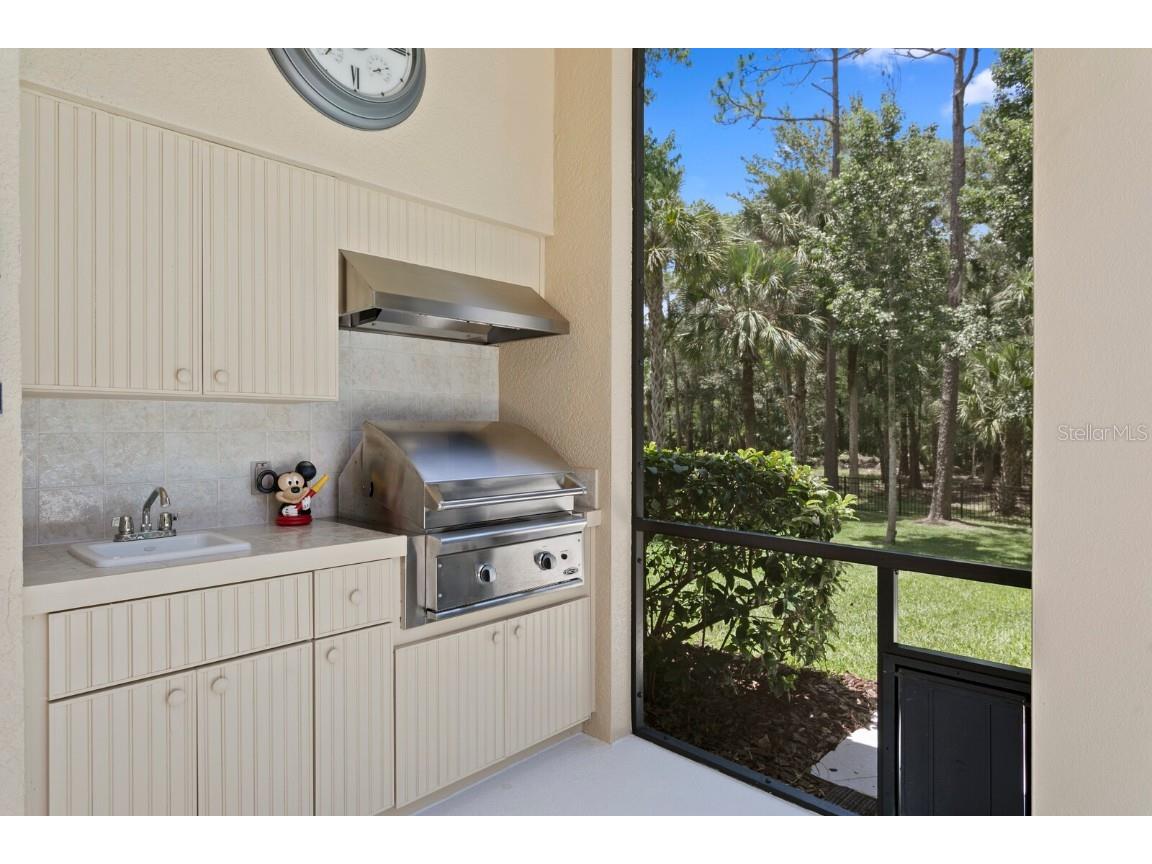 16423 Burniston Drive Tampa FL 33647 TB8437329 image59