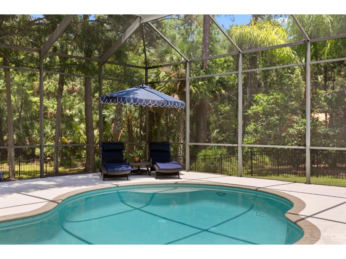 16423 Burniston Drive Tampa FL 33647 TB8437329 image60