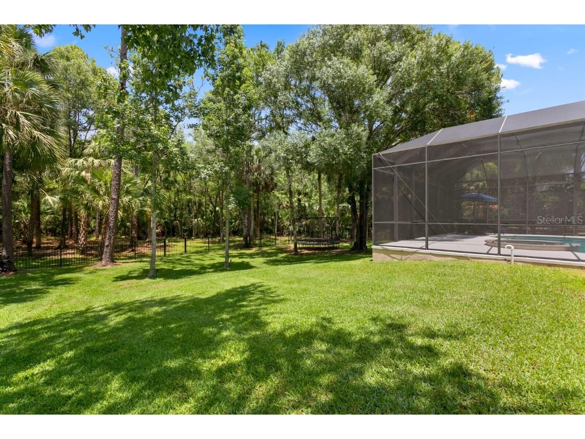 16423 Burniston Drive Tampa FL 33647 TB8437329 image64