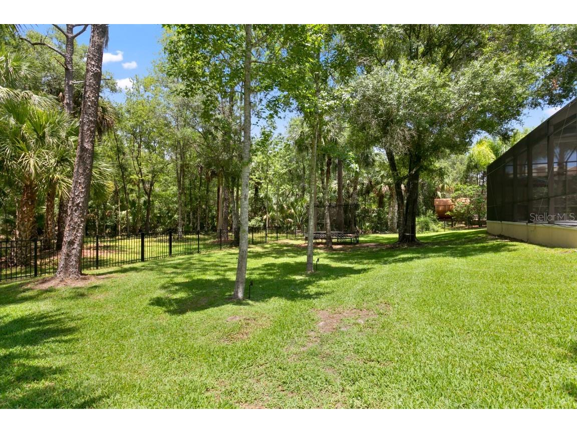 16423 Burniston Drive Tampa FL 33647 TB8437329 image66