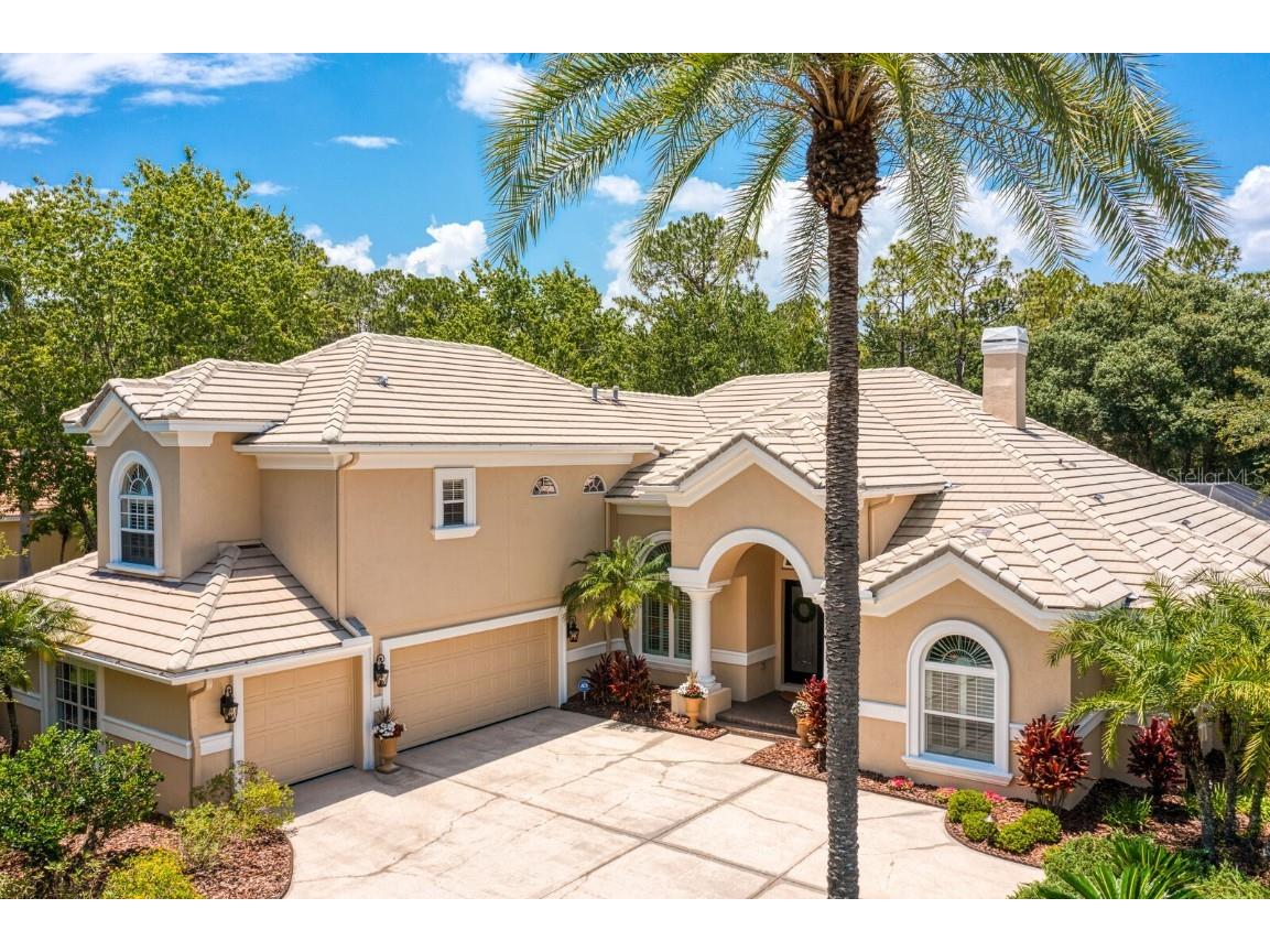 16423 Burniston Drive Tampa FL 33647 TB8437329 image70