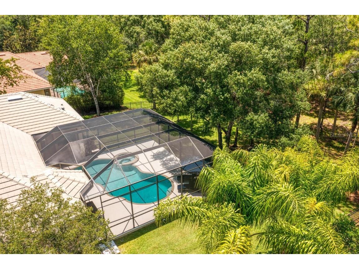 16423 Burniston Drive Tampa FL 33647 TB8437329 image72